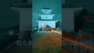 夜に上る丸亀城天守閣《香川県丸亀市》香川県女子旅 ライトアップ Marugame Castle, Kagawa Japan Trip #shorts