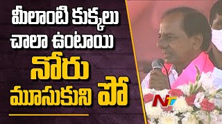 మీలాంటి కుక్కలు చాల ఉంటాయి, నోరు మూసుకుని పో | CM KCR Serious at Halia Public Meeting | NTV