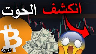 حاملي البيتكوين! هل حوت الـ 935.000.000 دولار هبط السوق؟ لدي المزيد من المعلومات ...