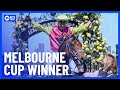 Knight’s Choice Wins Melbourne Cup 2024 | 10 News First