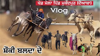 ਹਲਟ ਦੌੜ ਪਿੰਡ ਮੁਕੰਦਪੁਰ (ਦੋਆਬਾ) Vlog ਸ਼ੌਕੀ ਬਲਦਾ ਦੇ #shonkigroup22 #shonkijatt