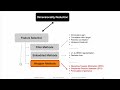 13.4.1 Recursive Feature Elimination (L13: Feature Selection)