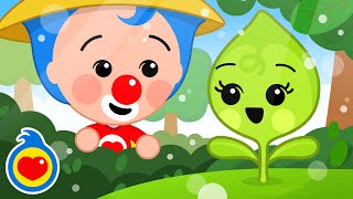 Fotosíntesis 🌞 ¡Hola Plantita! 🍃 Canciones Infantiles | Plim Plim