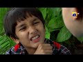 Mi-Raqsam Episode 01  Ayeza Khan - Shahzad Sheikh - Kiran Haq - Syed Fazal Hussain  Har Pal Geo