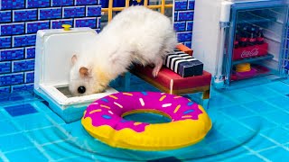 🐹Hamster Escapes the Creative Maze for Pets in real life 😱🐹 in Hamster Stories🐹 Minecraft Maze🐹