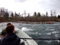 McKenzie River - Hayden Rapids in a Drift Boat