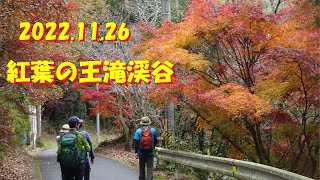 愛知・豊田　王滝渓谷　紅葉散歩　2022.11.26