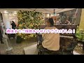 b zの「いつかのメリークリスマス」を綺麗なツリーの下で弾いてみた！【品川ストリートピアノ】