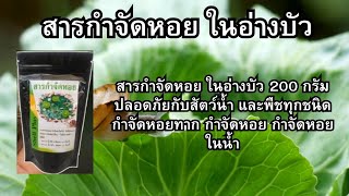 สารกำจัดหอย ในอ่างบัว 200 กรัม ปลอดภัยกับสัตว์น้ำ และพืชทุกชนิด กำจัดหอยทาก กำจัดหอย กำจัดหอยในน้ำ