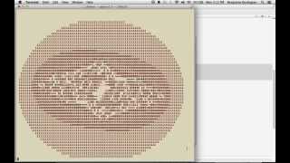 Evolving Text Based Julia Set