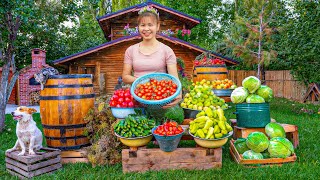 Harvesting Tomatoes On A Rural Farm To Sell - Live With Nature - Village Life | Tiểu Ca Daily Life