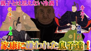 【歴史解説】家康に嫌われた息子達！？親子とは思えない冷遇ぶり！【MONONOFU物語】