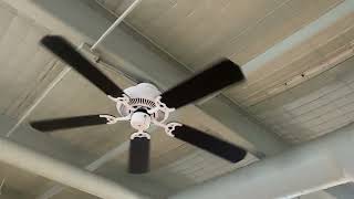 Three 52” Halsey Ceiling Fan At A Job Site