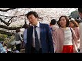 東京お花見散歩　満開　新宿御苑の桜　2018.3.29 sakura