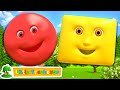 Shapes Song | Colors Song | Children's Music | Nursery Rhymes & Kids Songs - Little Treehouse