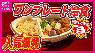 【冷凍食品ワンプレート】市場規模「100億円」に迫る破竹の勢い　タイパとコスパの良さで人気爆発　ワンプレート商品の成長は「6年前の7.7倍」背景に物価高〈カンテレNEWS〉