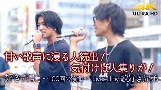 【 歌うま 】甘い歌声に浸る人続出！気付けば人集りが！　好きだよ。〜100回の後悔〜 / Sonar Pocket（ covered by 歌好き兄弟 ）高音質 4K映像