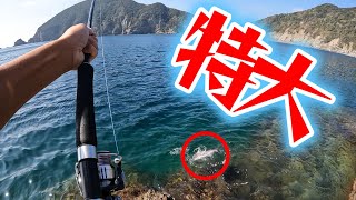 ショアジギング【対馬】国境の島!!!恐らくこの磯の超超超超特大な【ヌシ】を、釣り上げてしまった。唖然…