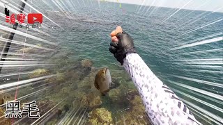 【漁樂FISHING】帶著鱗海釣漁趣 vlog-15