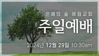 [주일예배실황] 2024년 12월 29일 주일예배