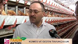 Isparta Ticaret Borsası Tarım Aktüel - Kümes ve Gezen Tavukçuluk