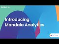 Introducing Mandala Analytics