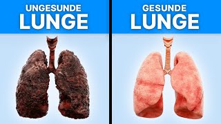 5 Lebensmittel, die du jeden Tag essen solltest, um deine Lunge zu entgiften!