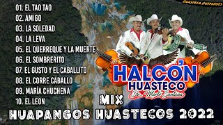 HALCON HUASTECO GRANDES EXITOS - HUAPANGOS HUASTECO MIX 2022 - LO MAS NUEVOS 2022