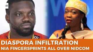 NIDO Chair Abike Dabiri Denies Allegations of Infiltration