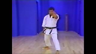 Goju ryu kata   Shisochin