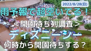 【最新情報！開園待ち列調査】8月28日(日)：東京ディズニーシー 7:10～8:50ごろの待ち行列の様子をお届け！雨予報の中「何時に行けばいい？」の参考に。