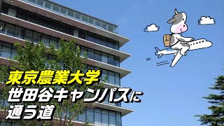 2023 新学期に向かう東京農大世田谷キャンパスの皆さんです。