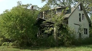 Detroit homeowner surrounded by blight on city's east side