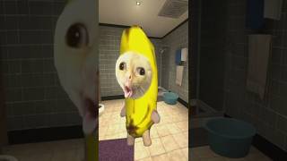 バナナ猫のチャームポイント #gmod 🍌😸