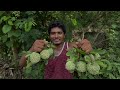 custard apples శీతా ఫలాలు మా అడవిలో ఉచితముగా దొరికే ఫలాలు