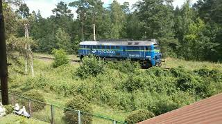 Budimex, PKP Cargo, Intercity i LTG Cargo: 4 pociągi w Lipińskich Małych. 19.07.2024 r.