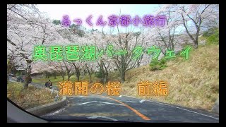 奥琵琶湖パークウェイ 満開の桜 前編 2023年4月2日【るっくん京都小旅行 4K 社寺史跡 徹底探索 Vol.0267】