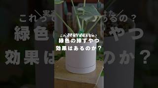 【忖度なし】緑色の活力剤、これって意味あるの？#観葉植物のある暮らし #観葉植物 #観葉植物インテリア #観葉植物初心者 #観葉植物育て方 #活力剤