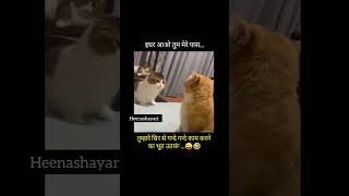 इधर आओ तुम मेरे पास |