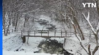 [날씨] 북극 한기에 전국 꽁꽁...건강 주의, 동파 대비해야 / YTN