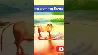 kisan ki jan l Jay javn Jay kisan #short #बैल #kisan #watercolor #tutorial #art #bull #mfa