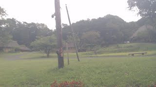 みちのく民俗村ライブ 2023.08.26 09:51