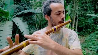 Bansuri F