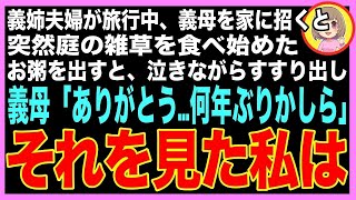 【スカッと】義姉夫婦が旅行中、義母を預かると突然義母が庭に降り雑草を口に詰め込み出したので、慌ててお粥を出すと義母「ありがとう…何年ぶりかしら」→その言葉を聞いた私は無言で立ち上がり（朗読）