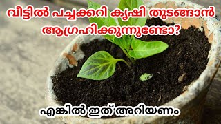 വീട്ടിൽ പച്ചക്കറി കൃഷി തുടങ്ങാൻ ആഗ്രഹിക്കുന്നവരാണോ? എങ്കിൽ ഇത് അറിയാതെ പോകല്ലേ @BAANVlogs #howto