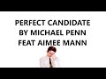 PERFECT CANDIDATE by Michael Penn Feat. Aimee Mann