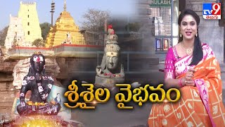 శ్రీశైల వైభవం | Maha Shivaratri Celebrations in Srisailam - TV9