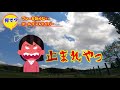 【ゴールデンレトリバーの日常】いつもぶつかってくる！🐶あなたにブレーキはないのですか…？ でも悪気は姿がとってもｶﾜ ・∀・ ｲｲ ～．．． ´∀｀