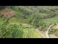 Sawah Cemeh, Sengon-Sumurup, Bendungan Trenggalek | DJI Mavic Mini | Aerial View