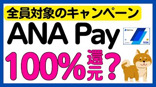 【ANA Pay】全員対象！対象者は参加必須のお得キャンペーン